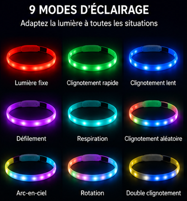 Collier Lumineux LED Rechargeable USB pour Chien – Sécurité & Visibilité Nocturne