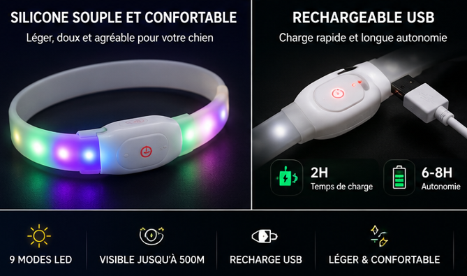 Collier Lumineux LED Rechargeable USB pour Chien – Sécurité & Visibilité Nocturne